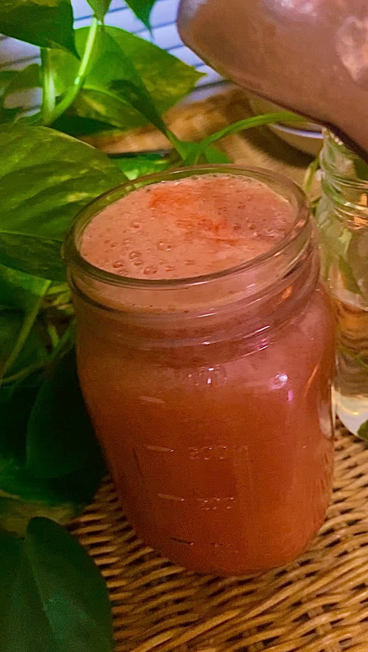 16 oz Watermelon Purification Cleanse